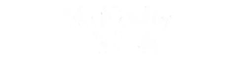 visa verified